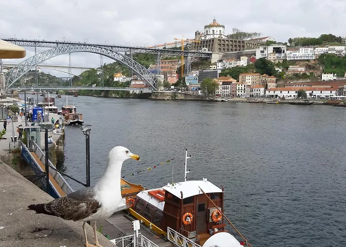 River Flat Iv - Heart Of *